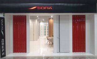 Статистика Дзен Двери Софья в Москве