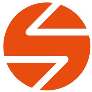 Статистика Дзен Zoom на Неве