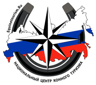 Статистика Дзен Конный туризм в России