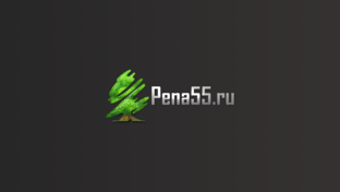 Статистика Дзен Pena55 - утепление пенополиуретаном в Омске и области