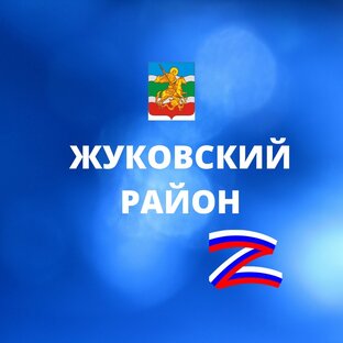 Статистика Дзен Администрация Жуковского района