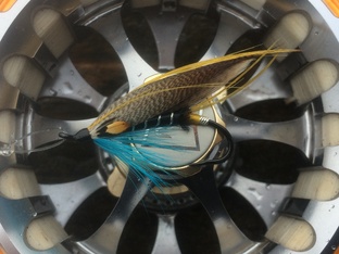 Статистика Дзен ProFlyfish