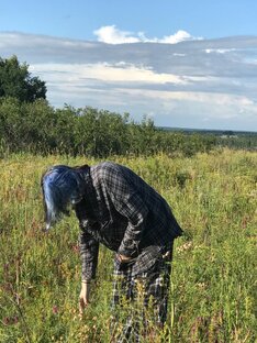 Дзен l4luld3 статистика