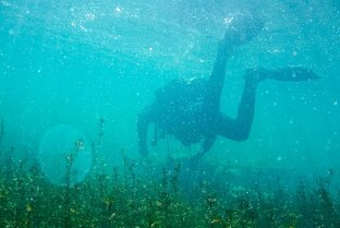 Дзен MORE статистика