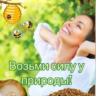 Дзен Природа - источник здоровья! Возьми силу у природы! статистика
