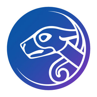 Статистика Дзен Ronan Morgan School | ирландские танцы в Петербурге