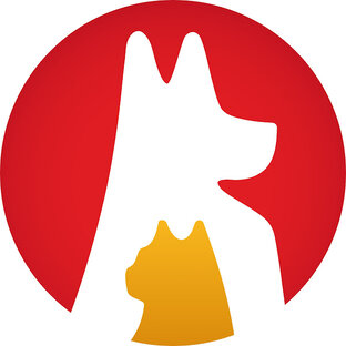 Статистика Дзен ЗООГУРМАН / ZOOGURMAN