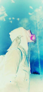 Дзен Spoti_lite статистика