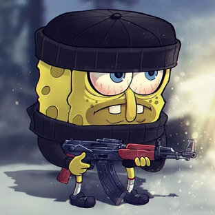 Дзен BEBRA статистика