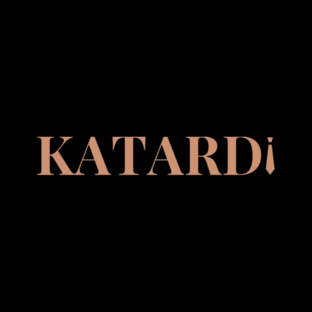 Статистика Дзен KATARDI 