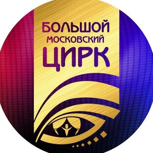 Статистика Дзен Большой Московский цирк
