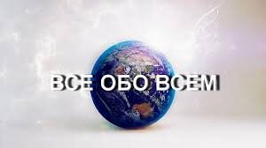 Дзен Всё Обо Всём статистика