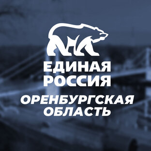 Партийные проекты в оренбургской области
