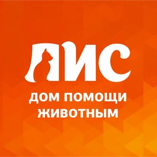 Дзен Приют для кошек "ЛИС" статистика