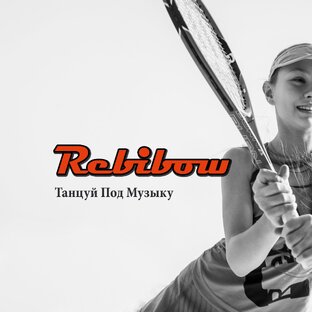 Статистика Дзен Rebibow