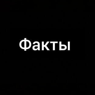 Дзен Факты статистика