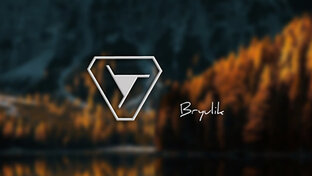 Статистика Дзен Bryulik 