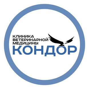 Статистика Дзен Клиника ветеринарной медицины "Кондор"