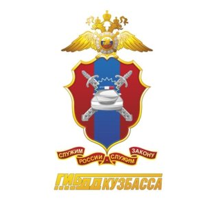 Статистика Дзен Госавтоинспекция Кузбасса