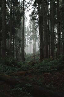 Дзен 💚ведьма💚 статистика