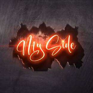 Статистика Дзен My Side