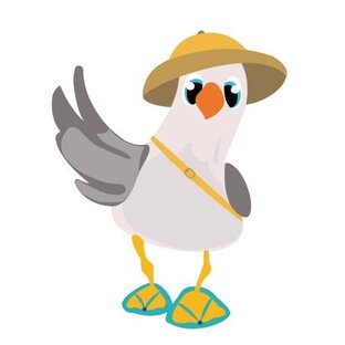 Статистика Дзен Коко Путешественник