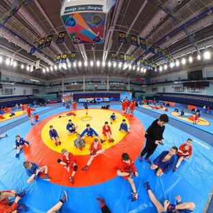 Статистика Дзен Sambo Chekhov