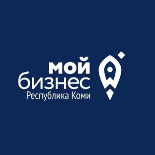 Статистика Дзен Мой Бизнес Коми