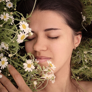 Статистика Дзен 🌿 СОБИРАЯ КРАСОТУ