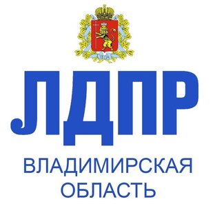 Статистика Дзен ЛДПР Владимирская область