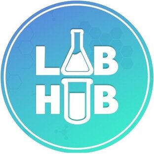 Статистика Дзен LabHub