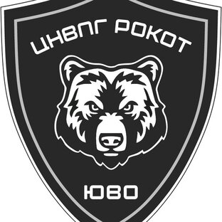 Статистика Дзен РОКОТ ЮВО
