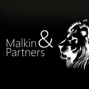 Статистика Дзен Юридические услуги Malkin&Partners (Малкин и Партнеры)