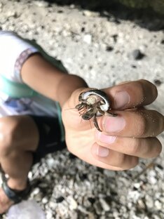 Сказочное Бали ☀️ 