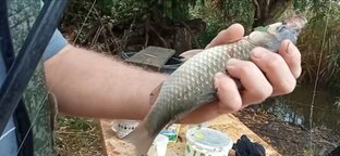 Наша рыбалка! 