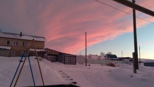 Стихи и рассказы