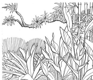 Парки Абхазии