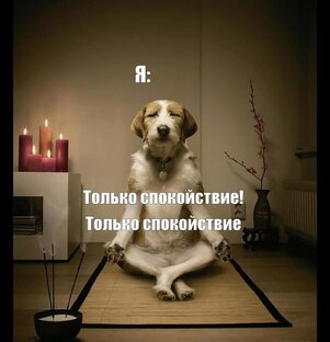 Модальные глаголы