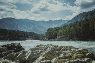 Из Сибири с любовью