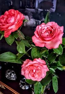 Цветочные карнавалы.