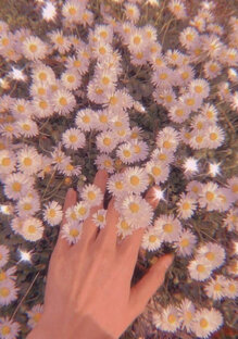 💞Эви💞