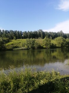 Прогулки