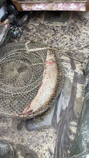 Рыбаки-грибники