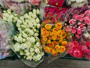 Статьи о жизненном и социальном 