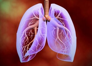 Для дыхательной системы