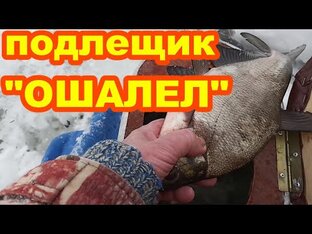 РЫБАЛКА  НА  СЕЛИГЕРЕ