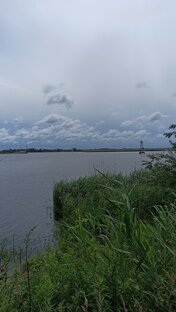 Опыты дилетанта