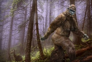 Снежный человек