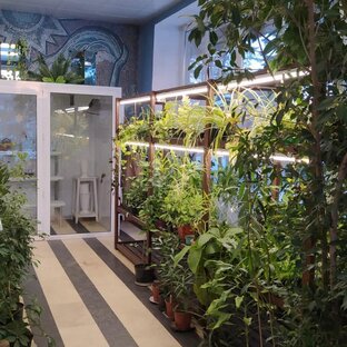 Салон-магазин растений