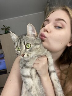 Кошачьи шалости🤫